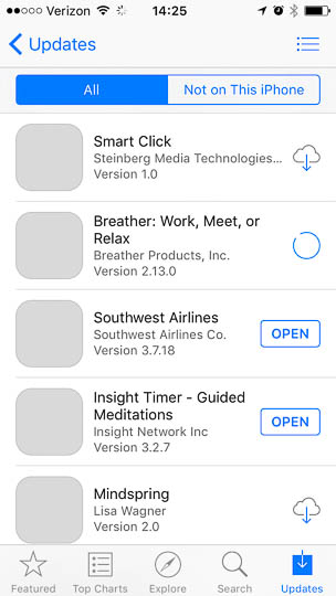The _Purchases_ screen looks completely normal as if the phone had perfectly working internet access.